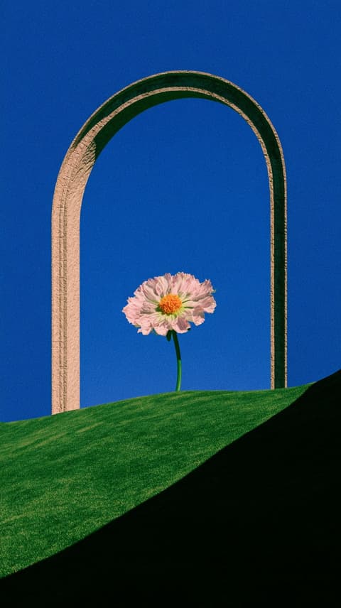 Pink Bloom Under the Arch: pink flower, arch — AI-generated Concept Art image made with Midjourney